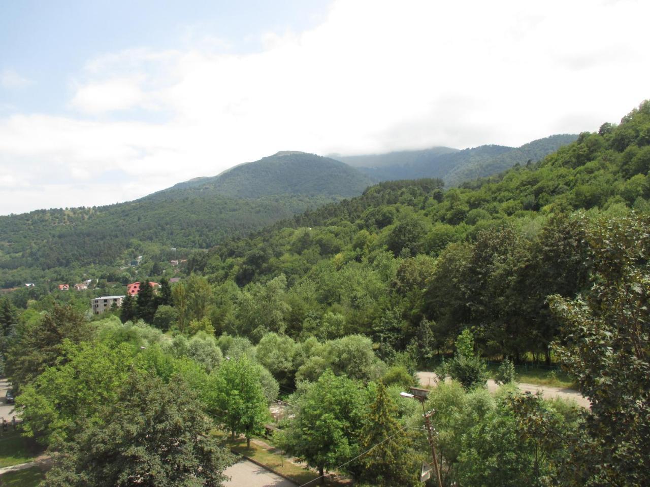 Ferienwohnung Dilijan Nice View Exterior foto